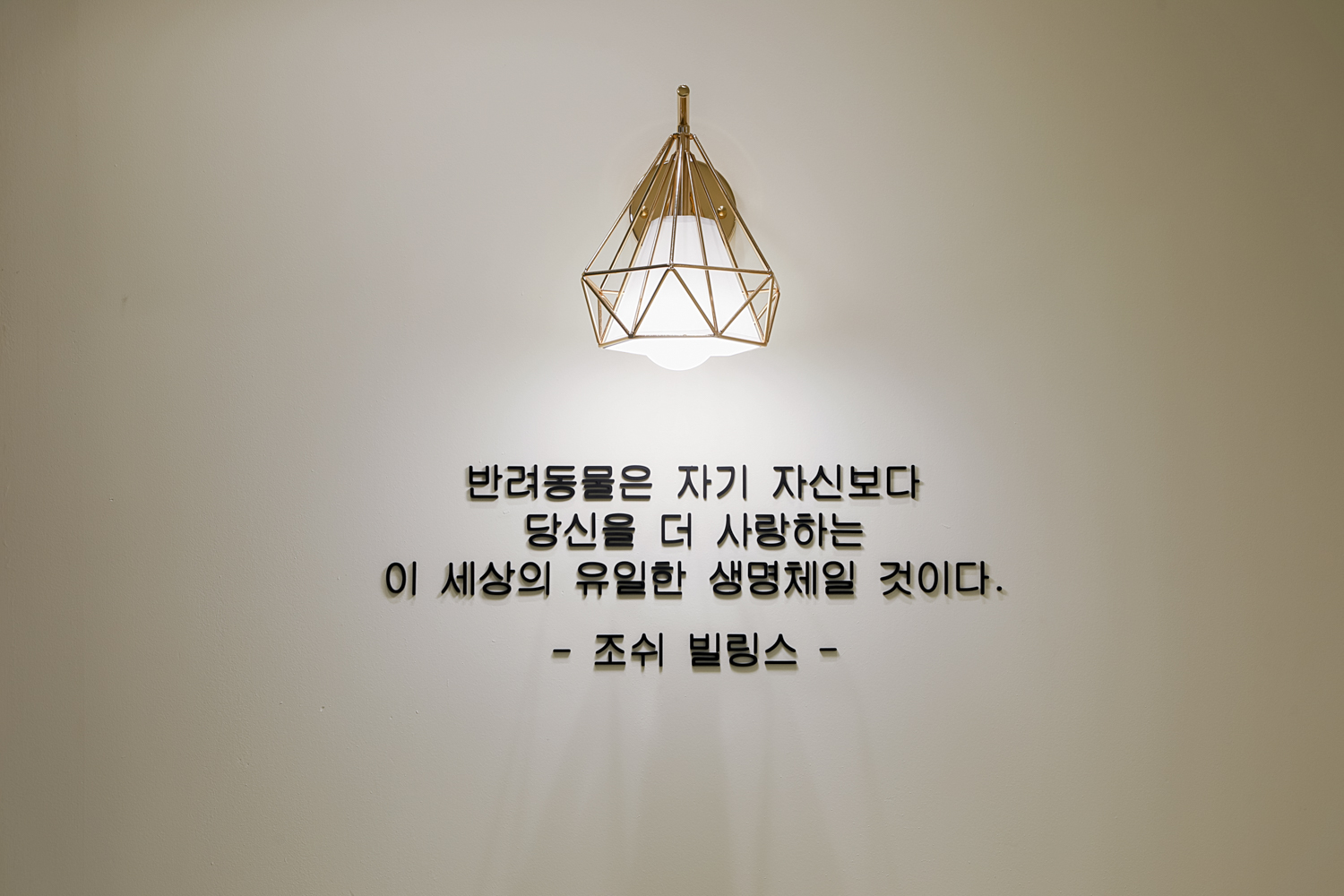 모코동물의료센터 원내 벽면 문구